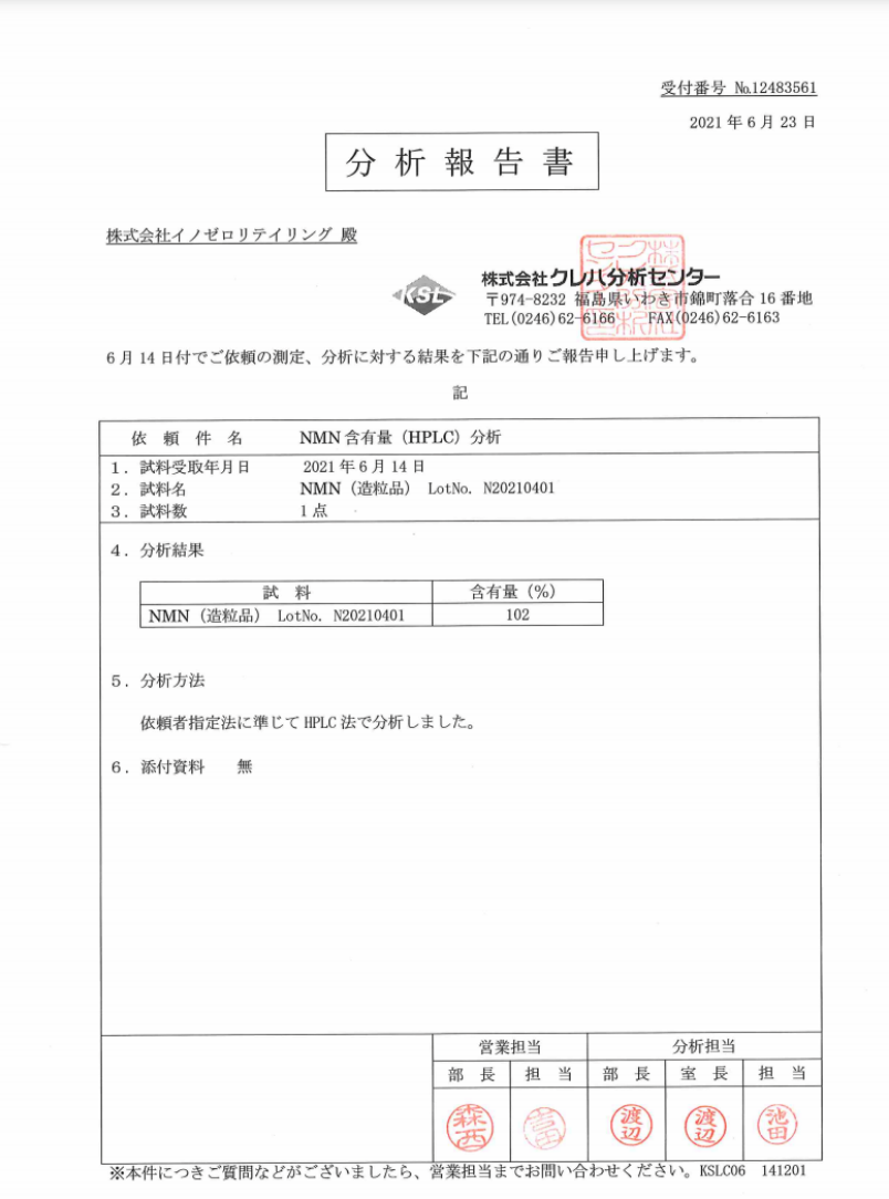 分析報告書